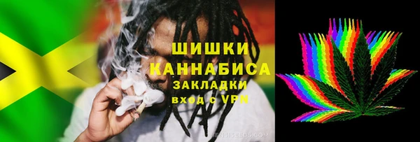 индика Богородицк