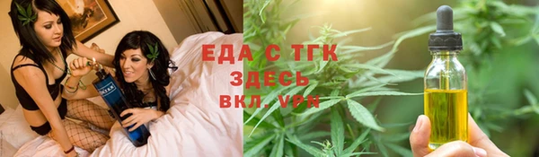 индика Богородицк