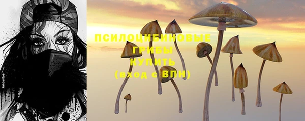 прущая мука Карталы