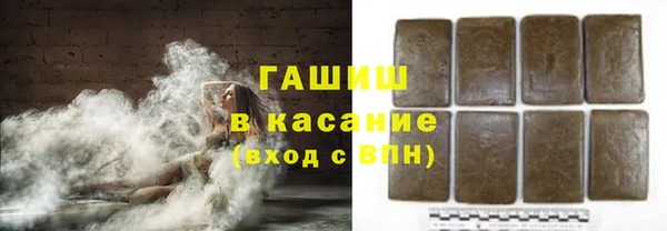 гашик Богданович