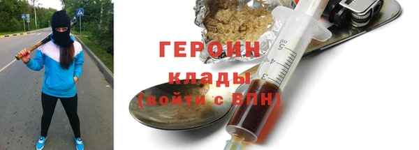 индика Богородицк