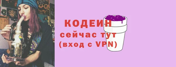 индика Богородицк