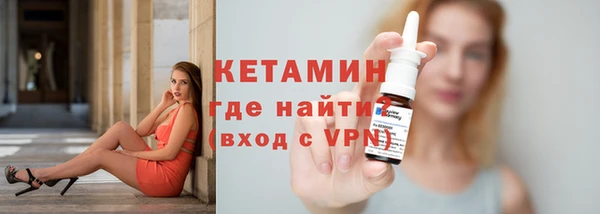 индика Богородицк