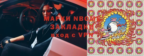 индика Богородицк