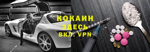 гашик Богданович