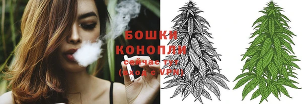 гашик Богданович